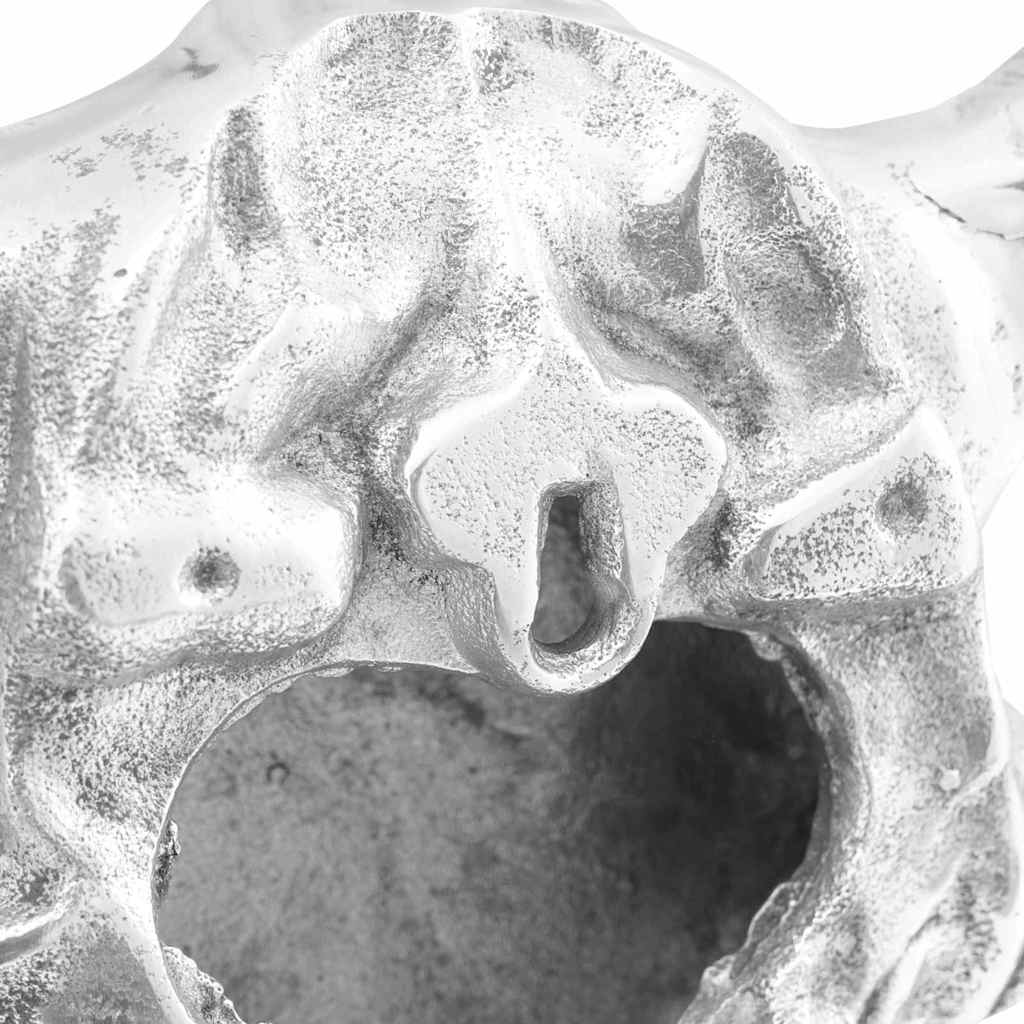 Bulls Skull Silver 53 X 11 X 40 Cm Aluminium
