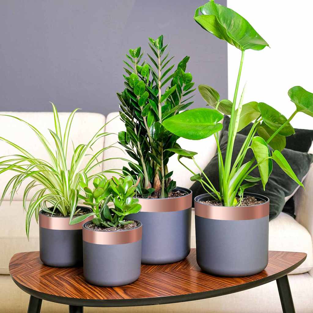 Dubbel Sidig Koppartejp 6 Pcs Koppar 2000 X 5 Cm Koppar