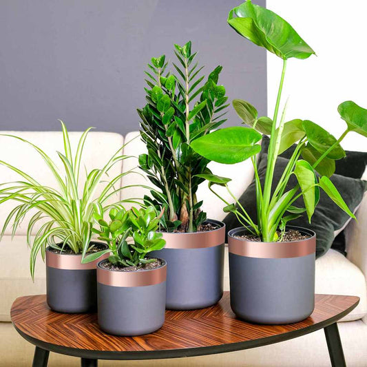 Dubbel Sidig Koppartejp 6 Pcs Koppar 2000 X 5 Cm Koppar