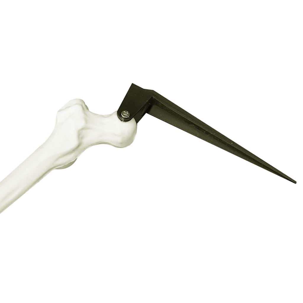 Halloween Skelett Vit 20 X 10 X 9,5 Cm Plast