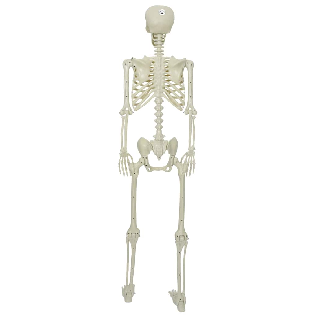 Halloween Skelett Vit 155 X 38.5 Cm Plast