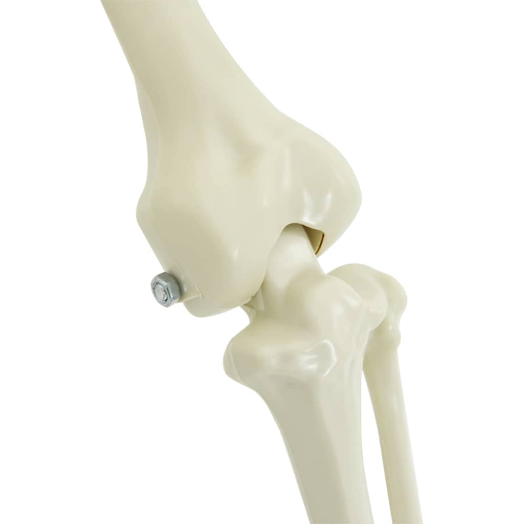 Halloween Dekorations Skelett 2 Pcs Vit Polypropylen